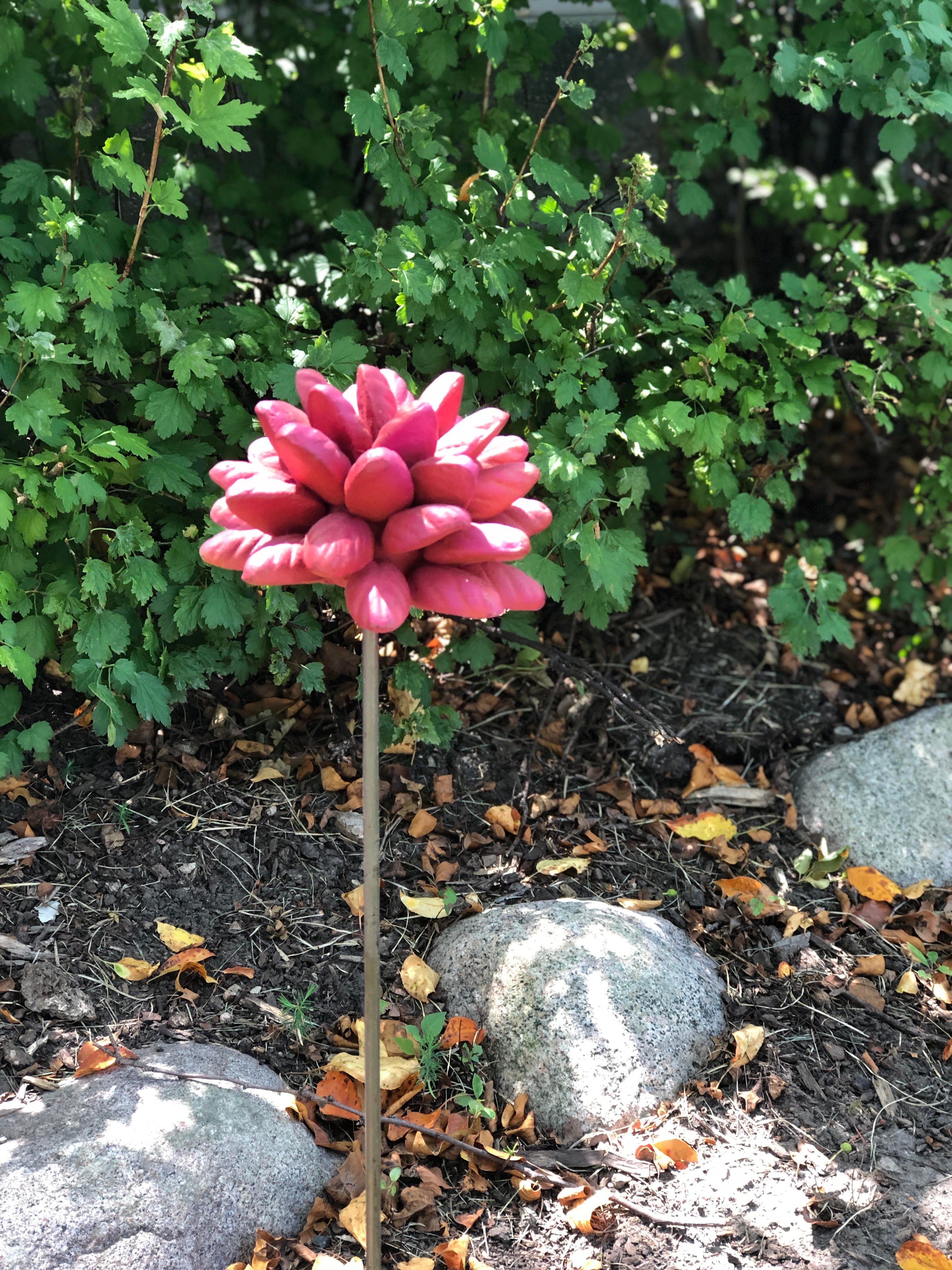 Garden Bloom $15.00